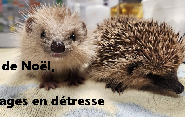 On a besoin de vous !